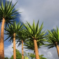 img_8877