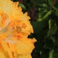 img_8896