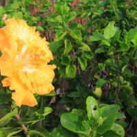 img_8897