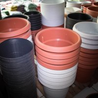 vaso-03